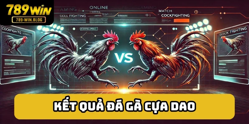 Phân định kết quả vé cược Phân định kết quả vé cược